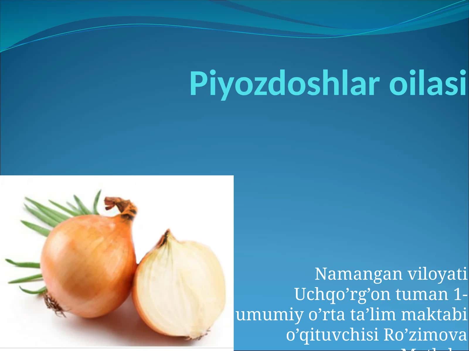 Piyozdoshlar oilasi 1