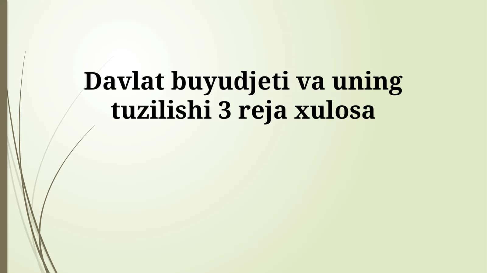 Davlat buyudjeti va uning tuzilishi 1