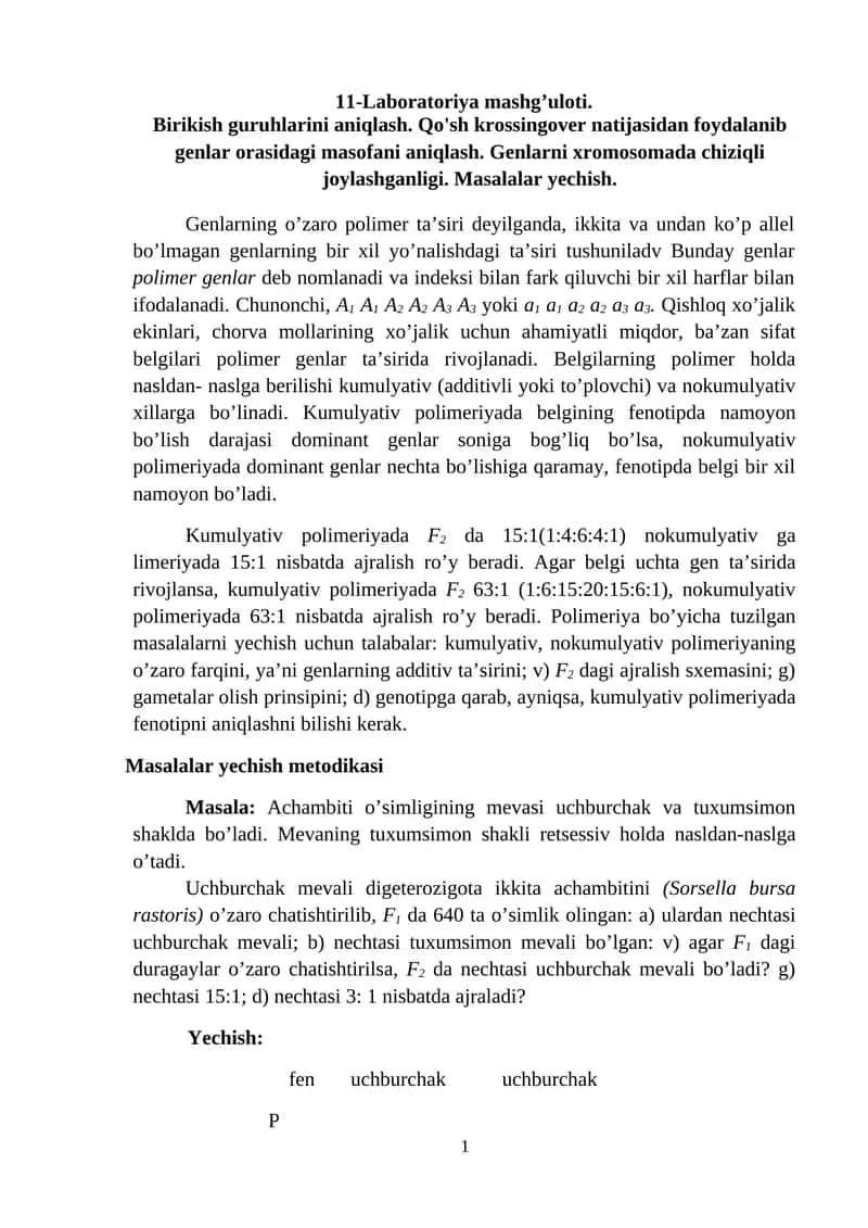 Laboratoriya mashg’uloti 1