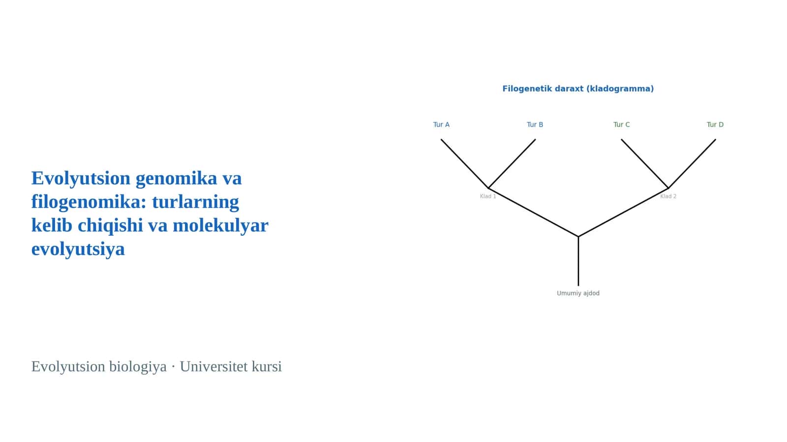 Evolyutsion genomika va filogenomika: turlarning kelib chiqishi va molekulyar evolyutsiya 1