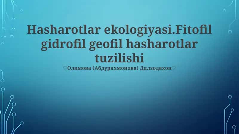 Hasharotlar ekologiyasi 1