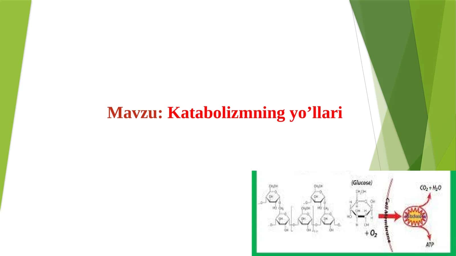 Katabolizmning yo’llari 1
