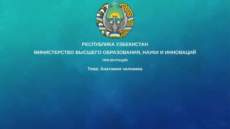 Анатомия человека 1