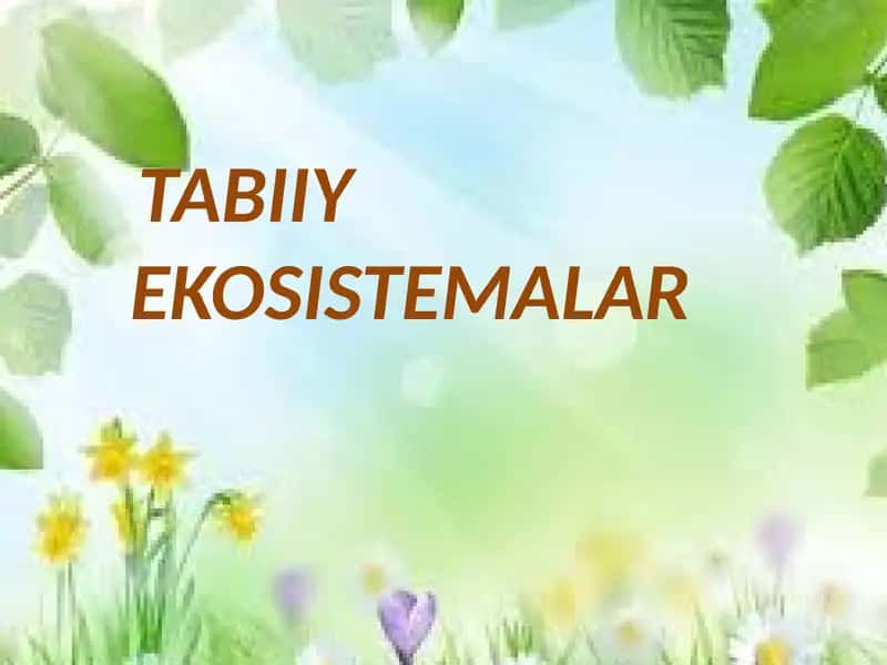 Tabiiy Ekosistemalar O`tilgan Mavzuni Takrorlash 1