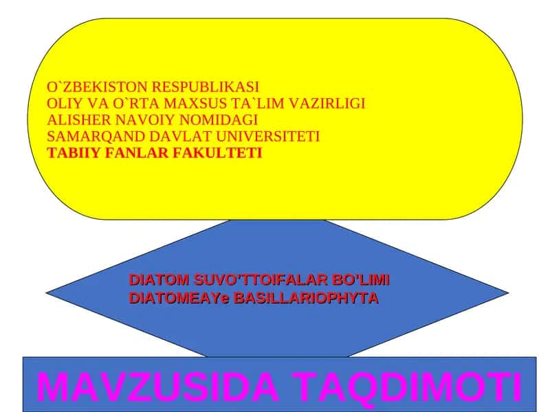 DIATOM SUVO’TTOIFALAR 1