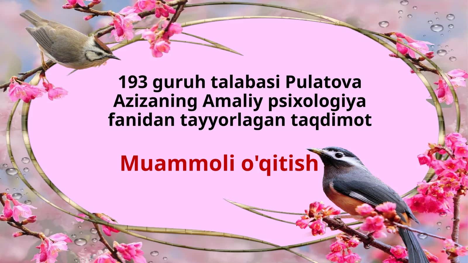 Muammoli o'qitish 1