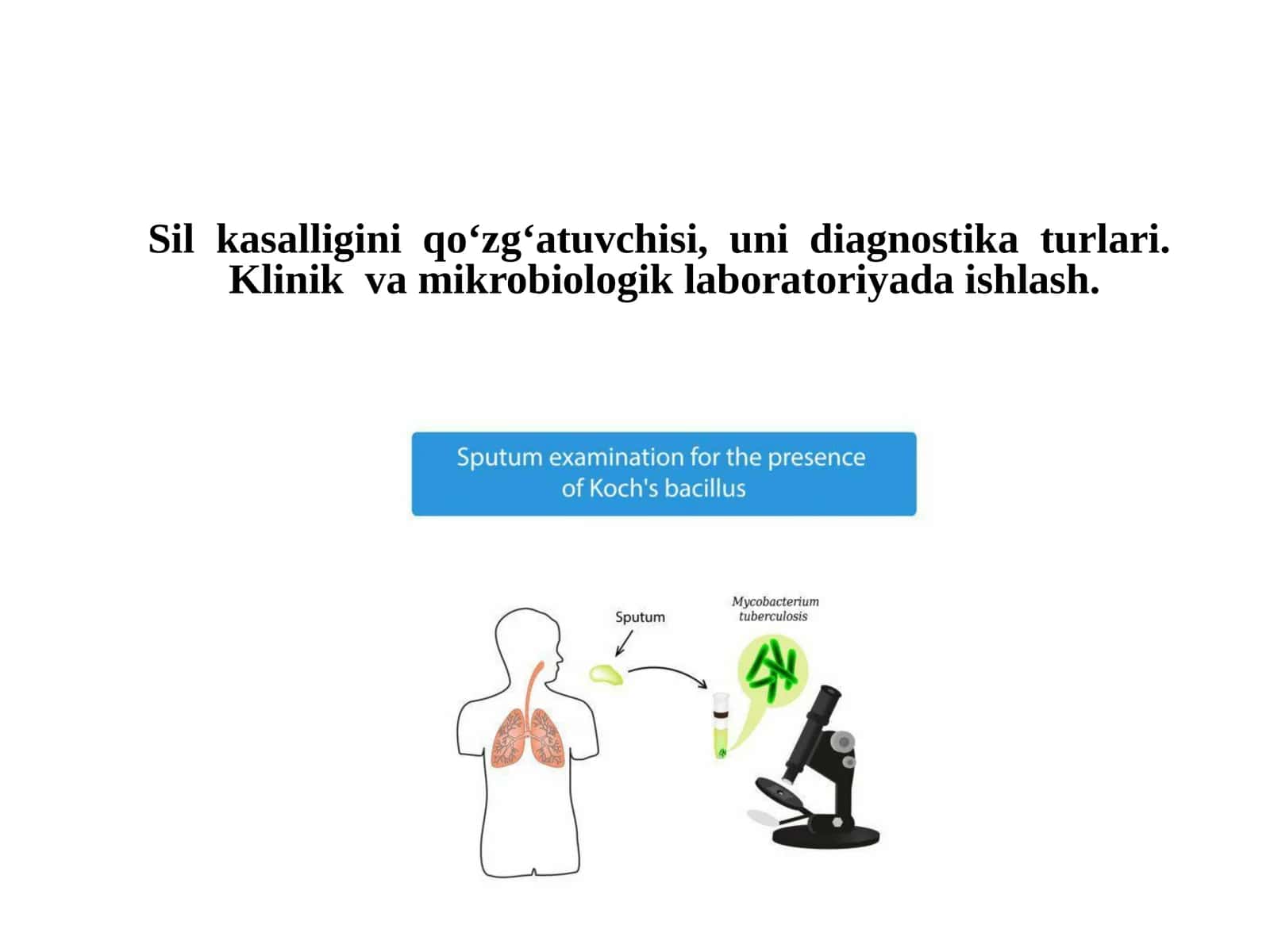 Silmikobakteriyasi 1