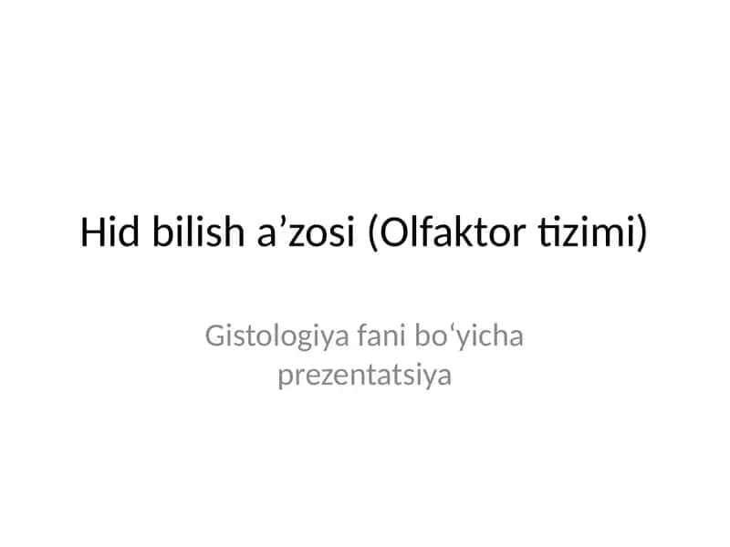 Hid bilish a’zosi (Olfaktor tizimi) 1