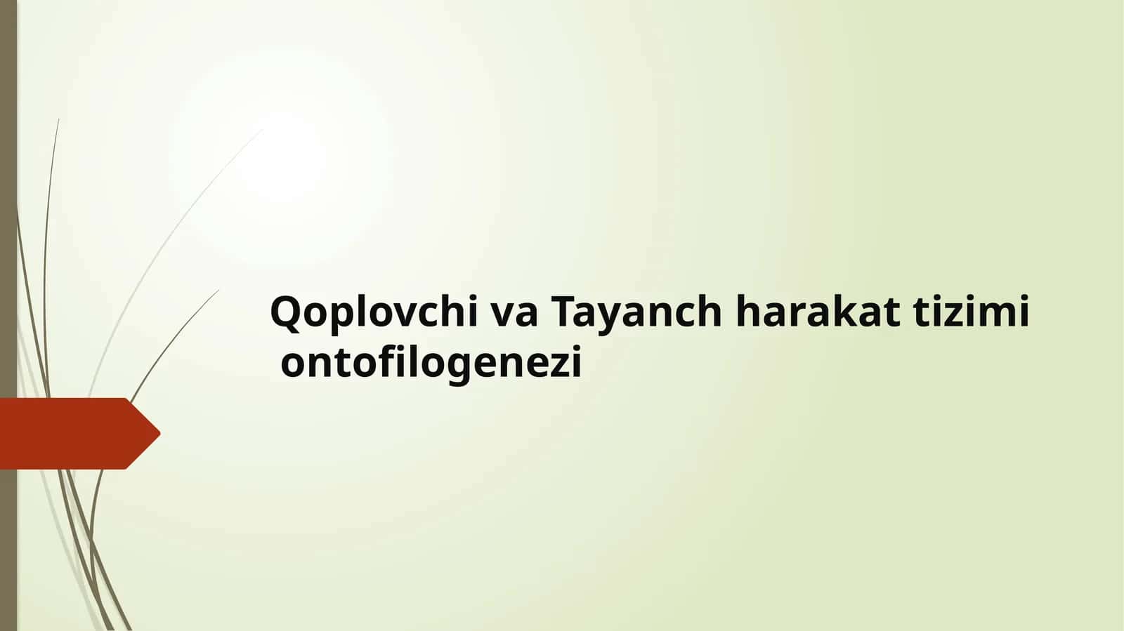Qoplovchiva Tayanch harakat tizimi ontofilogenezi 1