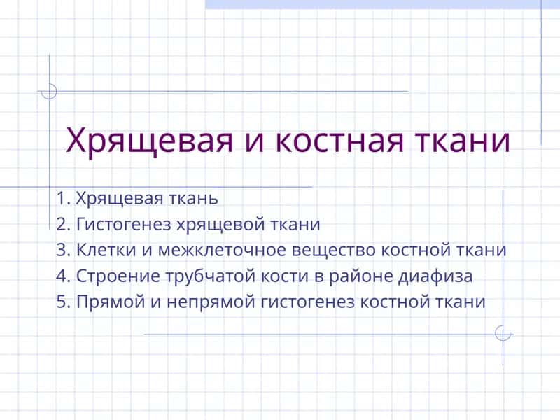 Хрящевая и костная ткани 1