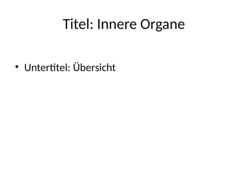 Innere Organe 1