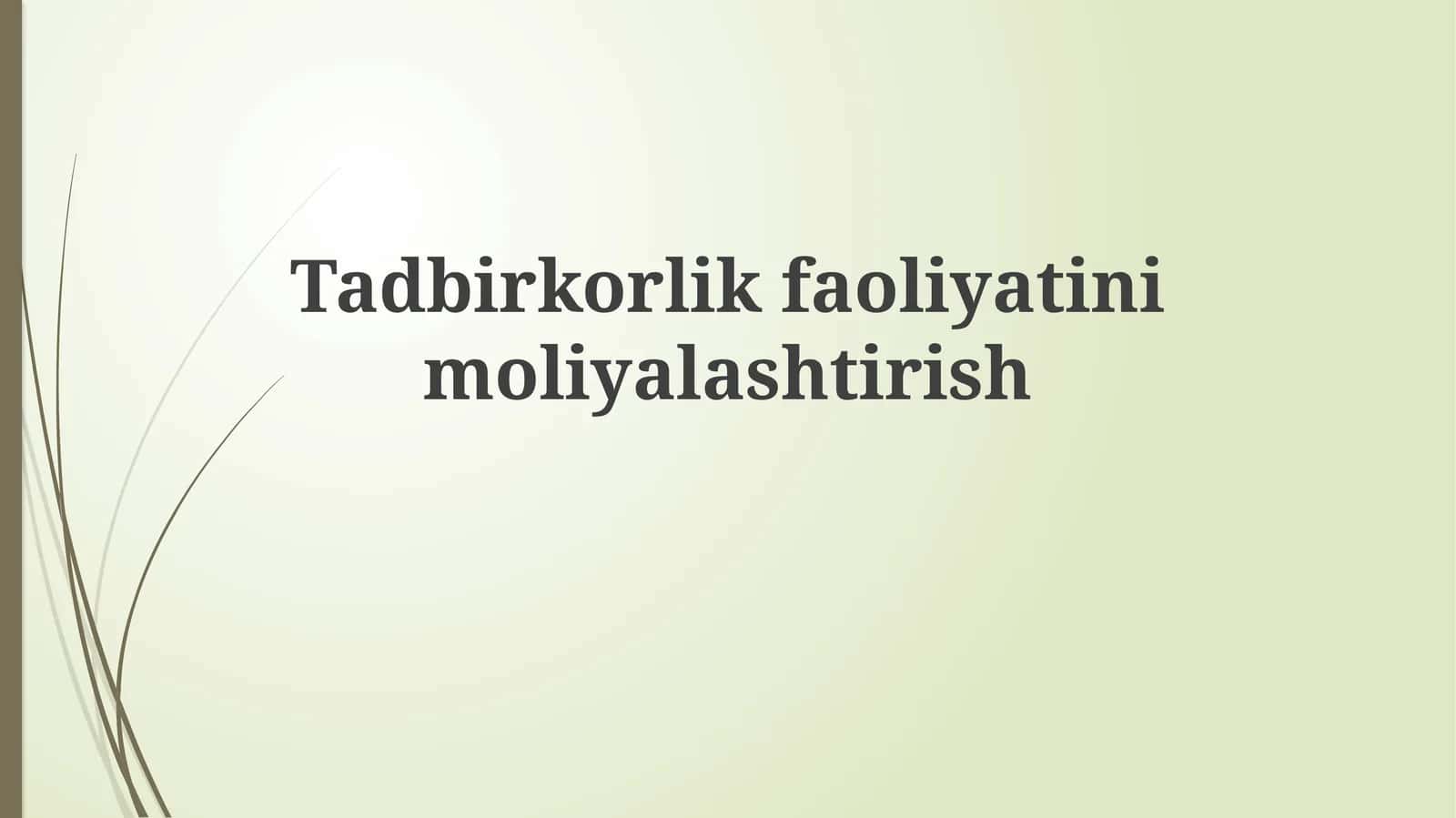 Tadbirkorlikfaoliyatinimoliyalashtirish 1