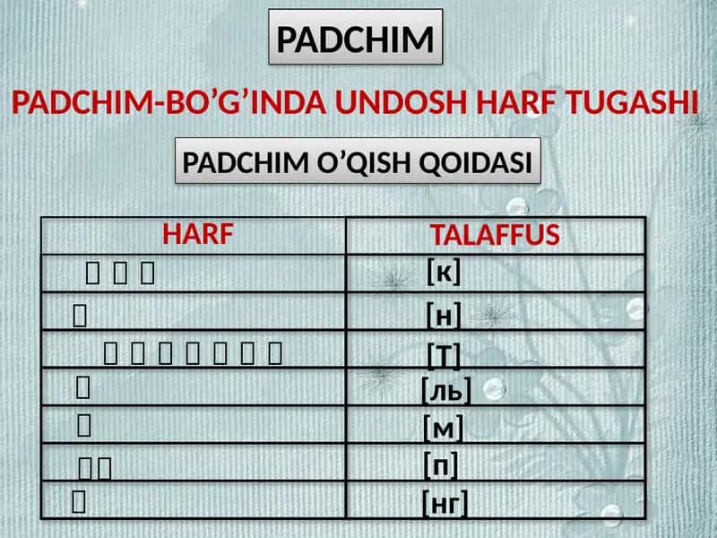 PADCHIM 1