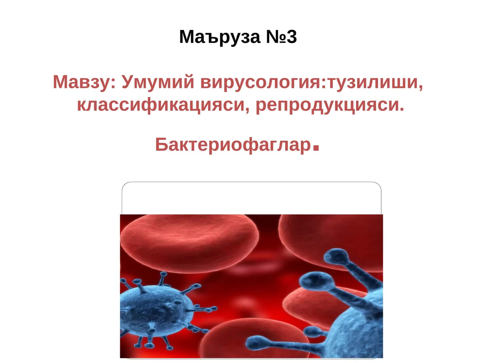 Умумий вирусология 1