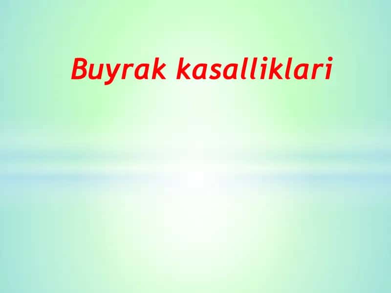 Buyrak kasalliklari 1