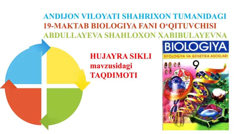 Hujayra sikli taqdimoti 1