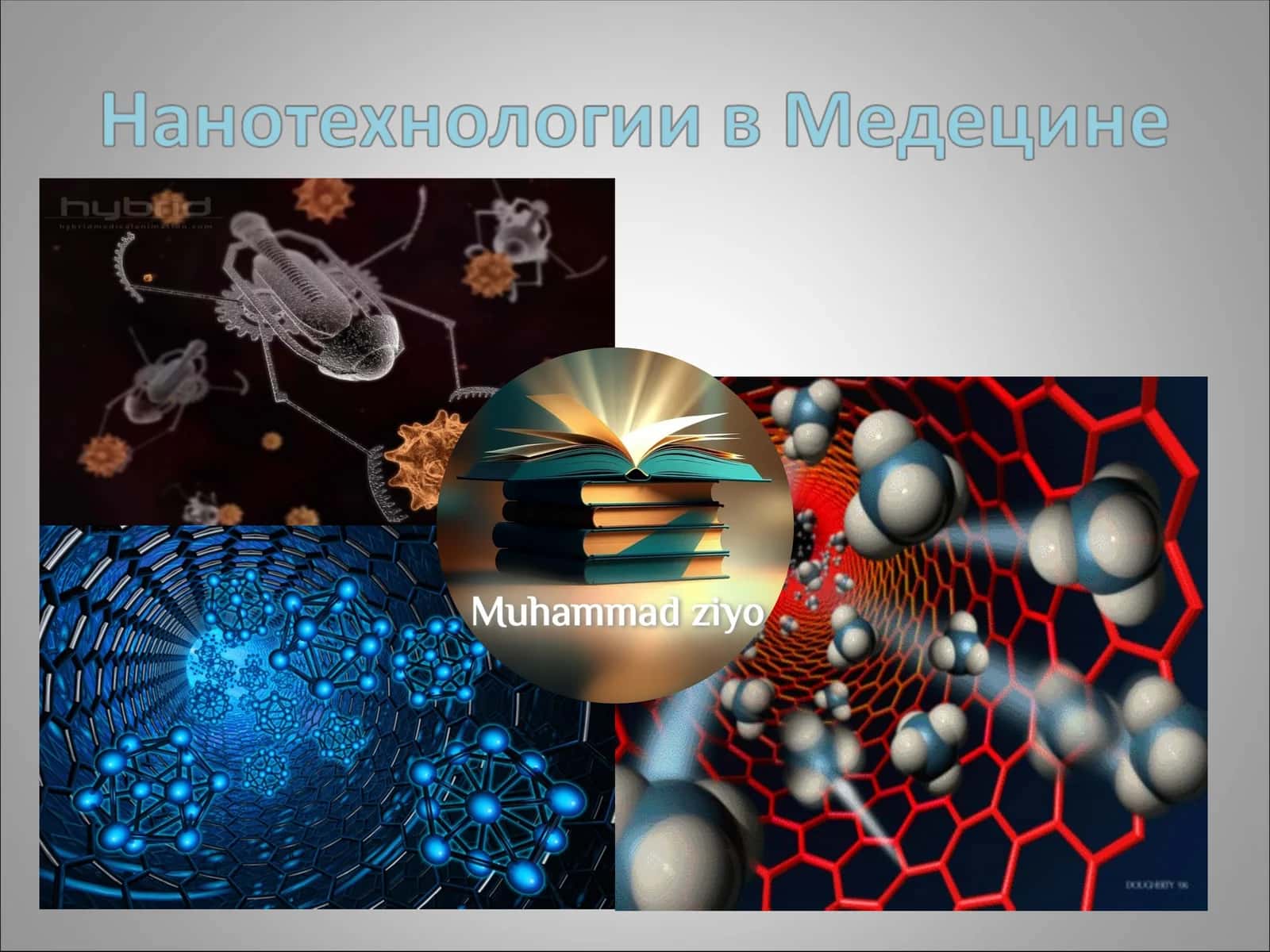 Нанотехнологии в Медецине 1