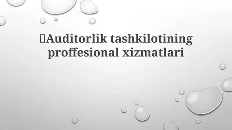Auditorlik tashkilotining proffesional xizmatlari 1