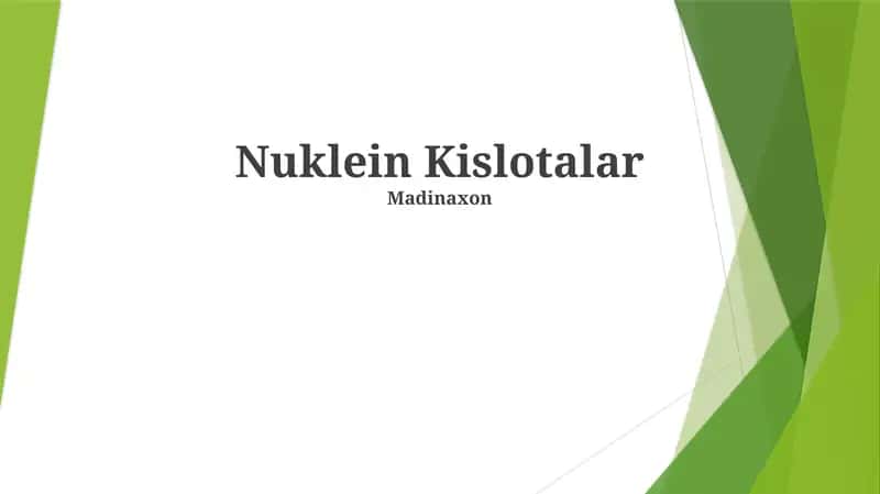 Nuklein Kislotalar 1