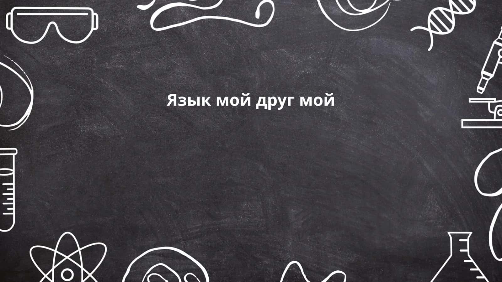 Язык мой друг мой 1