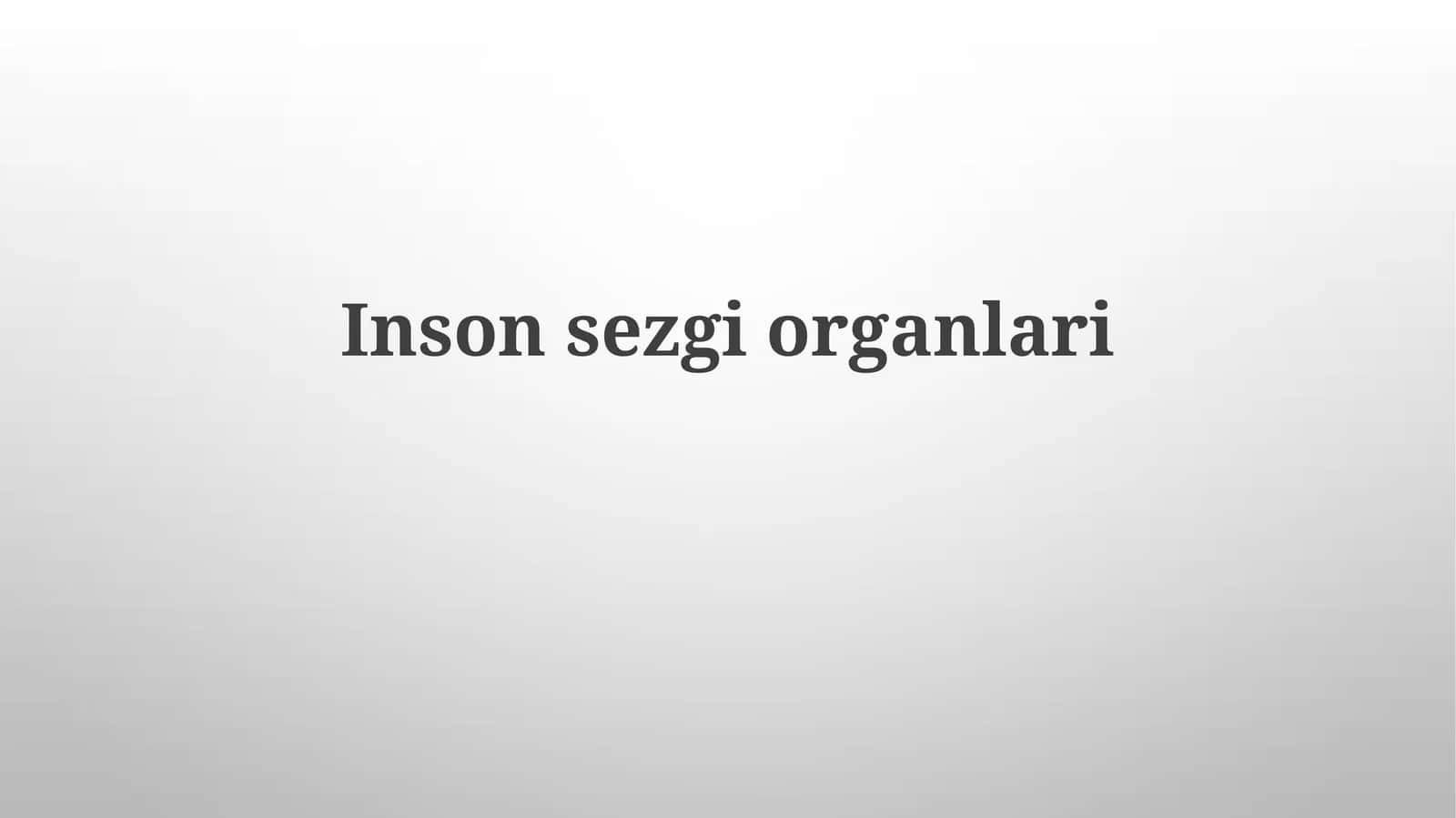 Insonsezgiorganlari 1