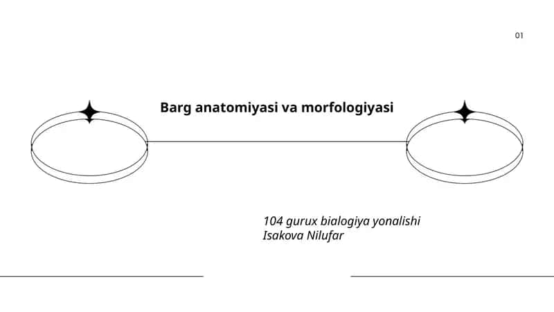 Barg anatomiyasi va morfologiyasi 1