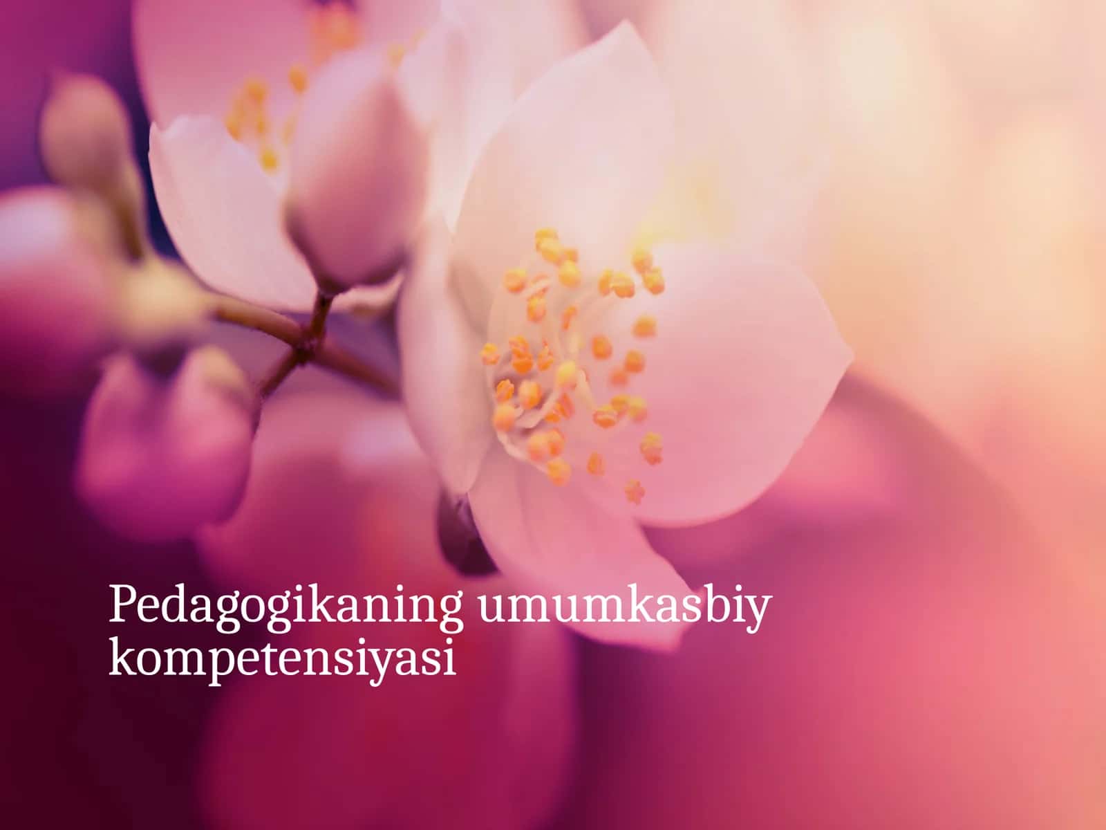 Pedagogikaning umumiy kasbiy kompetensiyasi 1