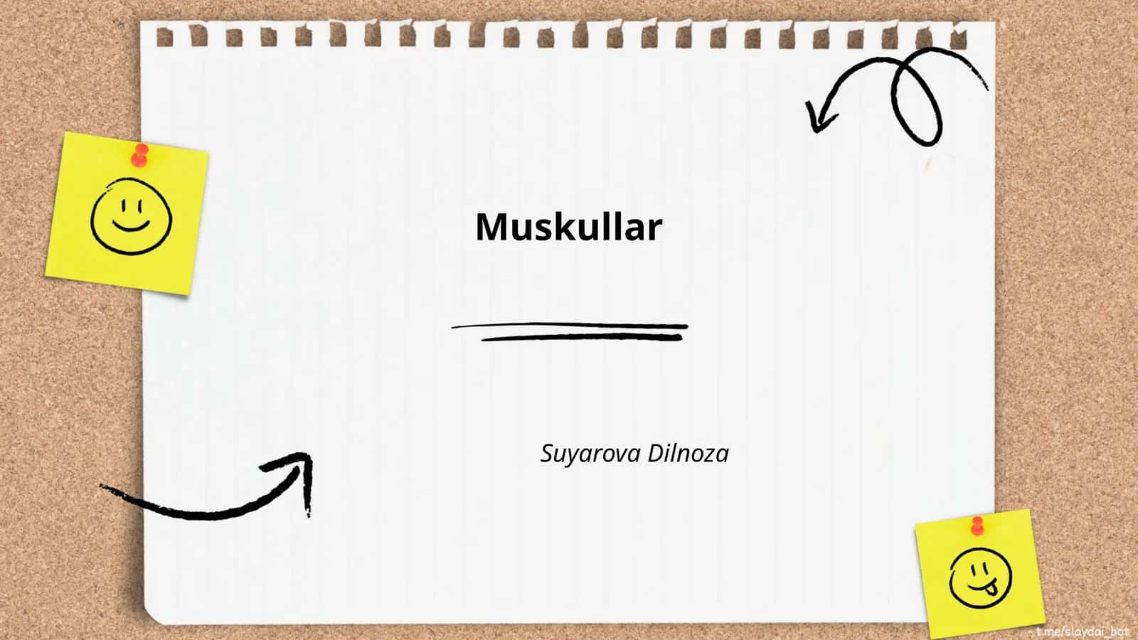 Muskullar 1