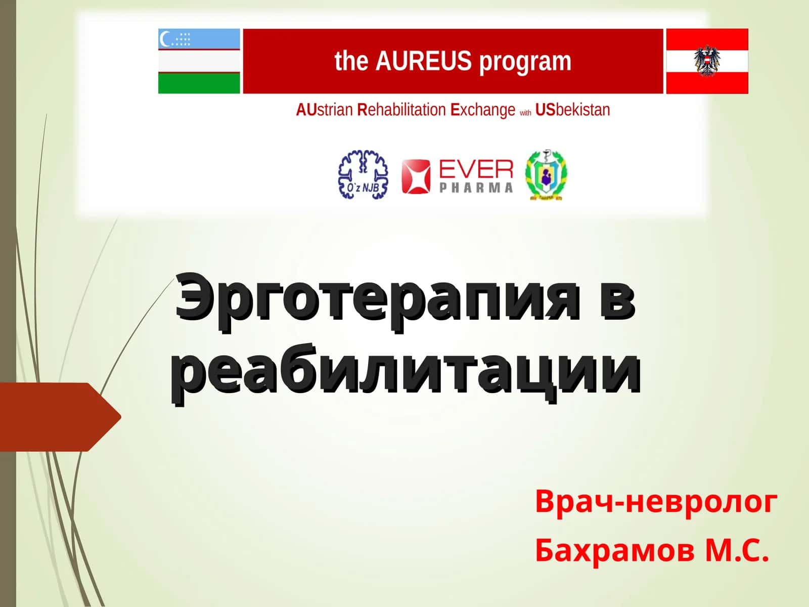Эрготерапия в реабилитации 1