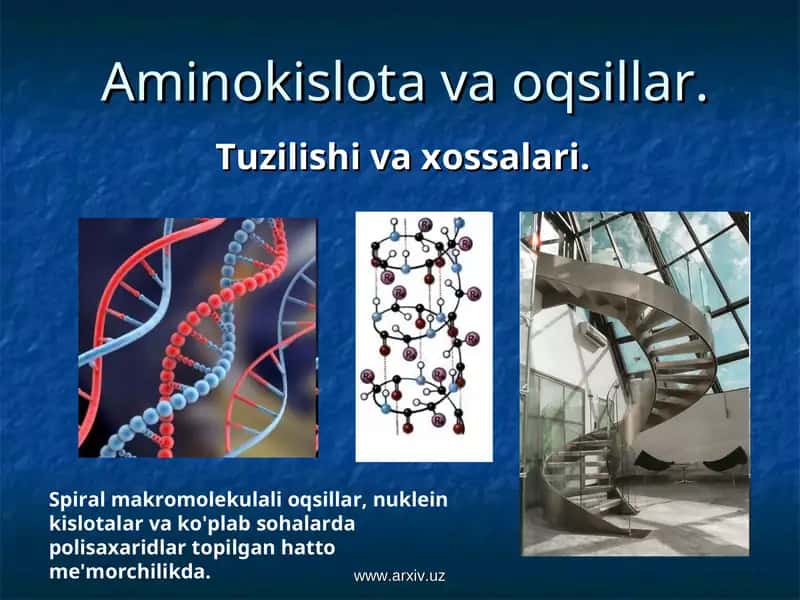 Aminokislota va oqsillar 1