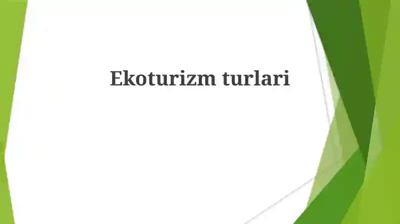 Ekoturizmturlari