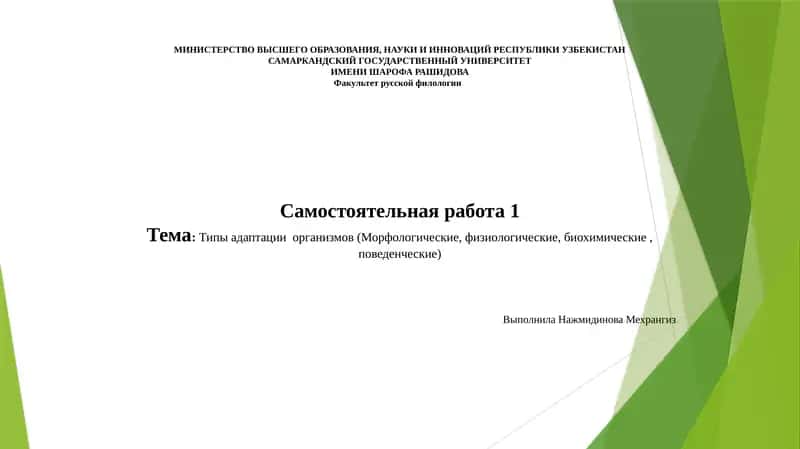 Самостоятельная работа 1 1