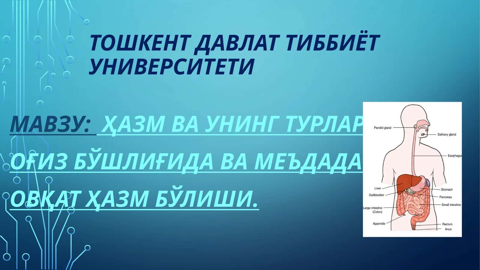 hazm va uning turlari. og'iz bo'shlig'ida va medada hazmlanish 1