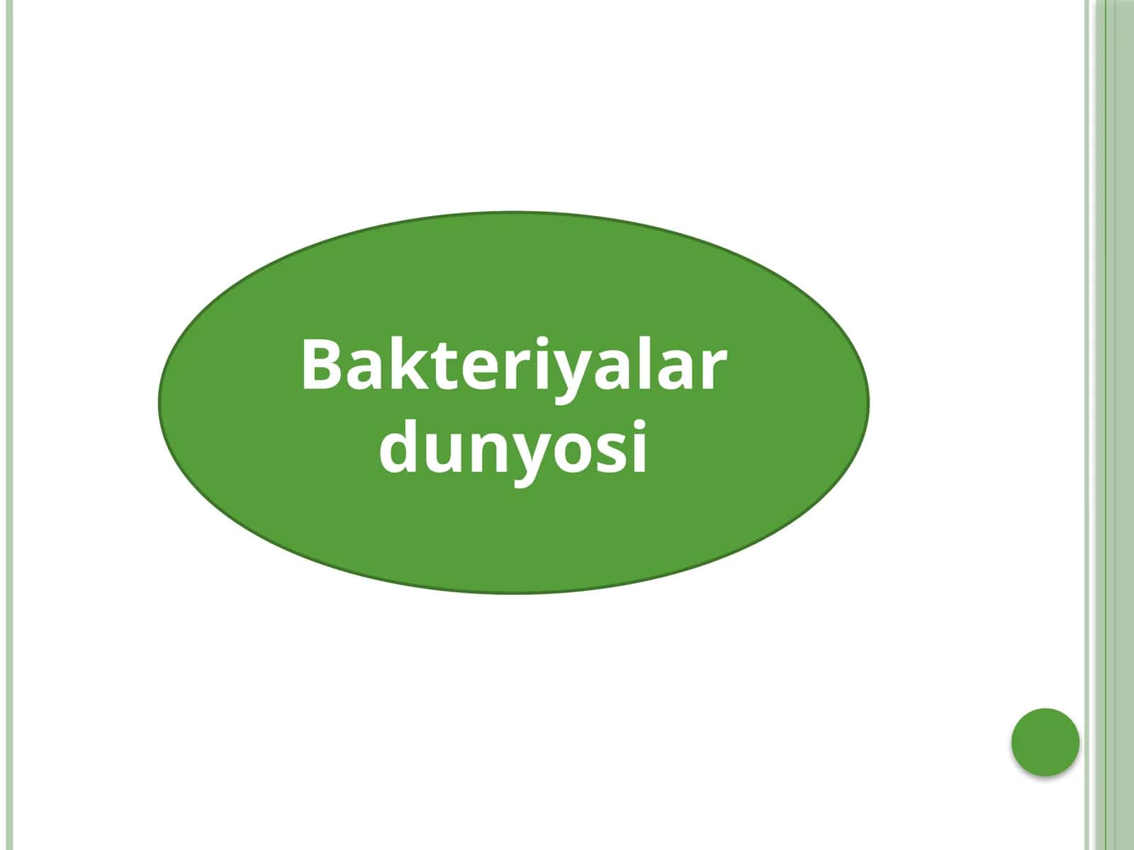 Bakteriyalardunyosi 1