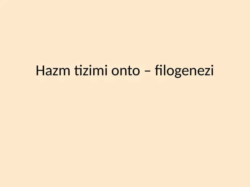 Hazm tizimi onto filogenezi 1