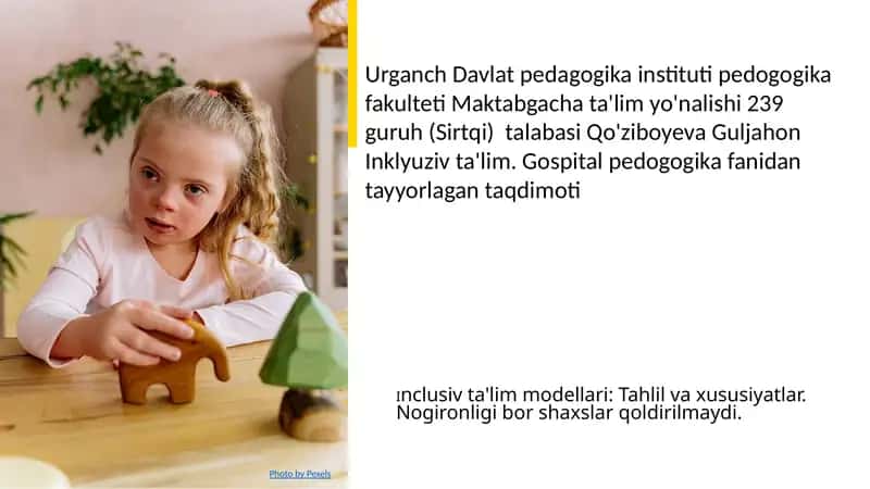 Inclusiv ta'lim modellari: Tahlil va xususiyatlar 1