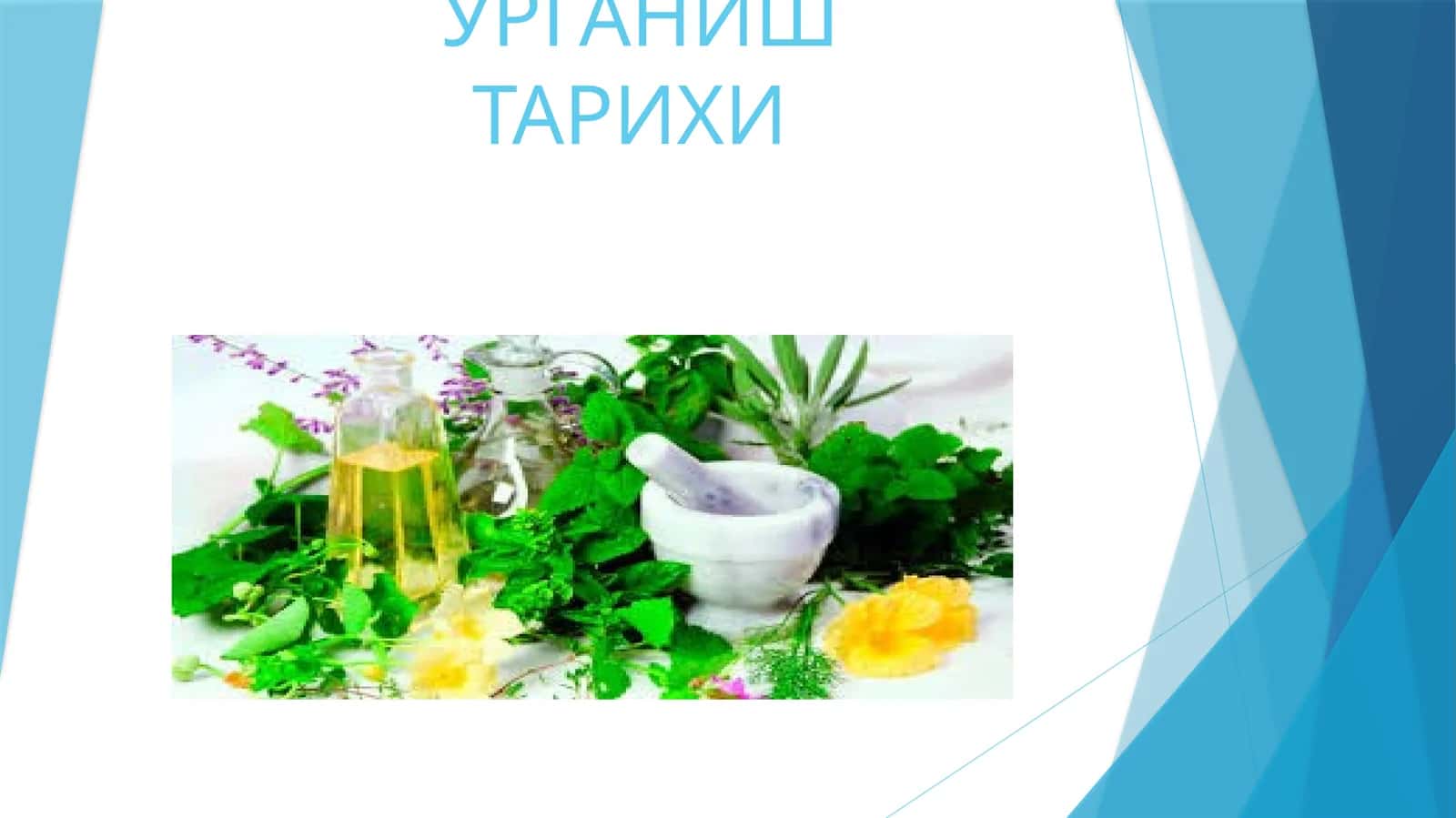 Доривор ўсимликларни ўрганиш тарихи 1