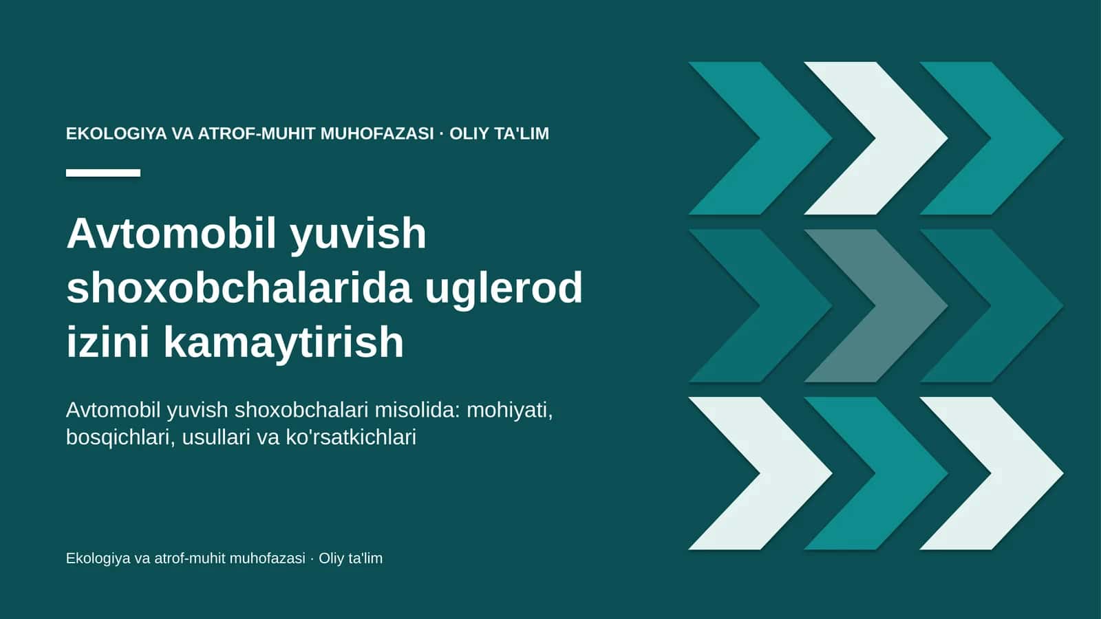 avtomobil yuvish shoxobchalarida uglerod izini kamaytirish 6193 1