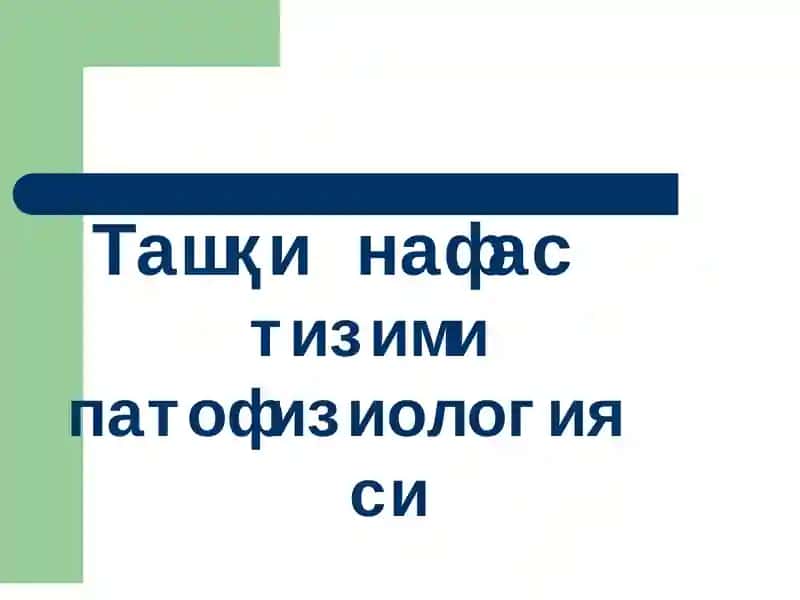 Ташқи нафастизими патофизиологияси