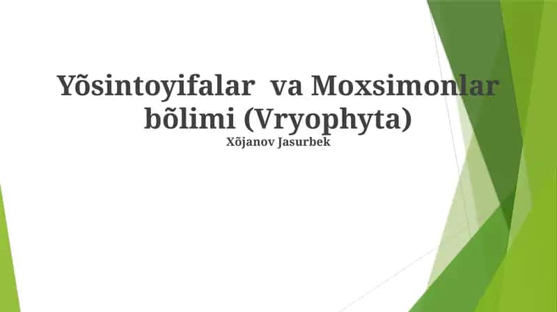 Bryofitlarning Xillari va Xususiyatlari 1