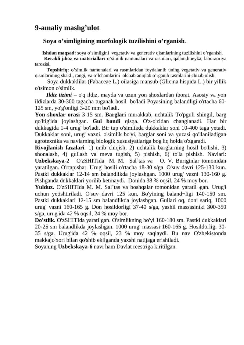 Soya O'simligi Morfologiyasi 1