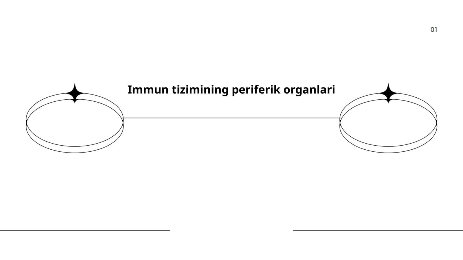 Immun tizimining periferik organlari 1