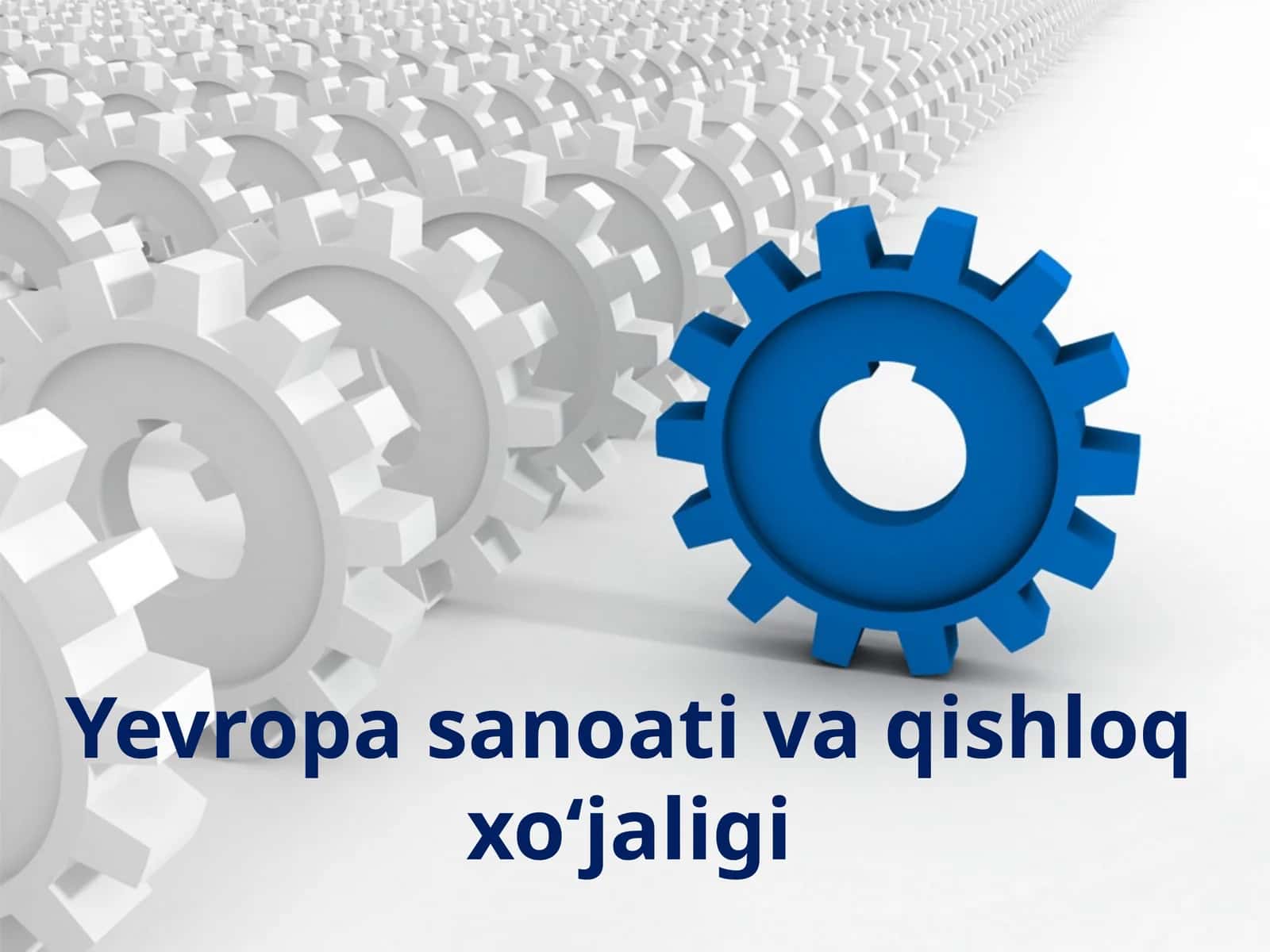 Yevropa sanoati va qishloq xo‘jaligi 1