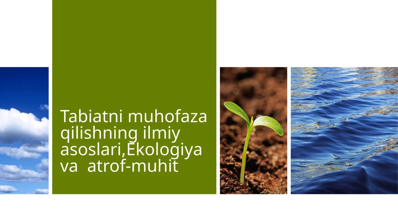 Ekologiya va atrof-muhit 1