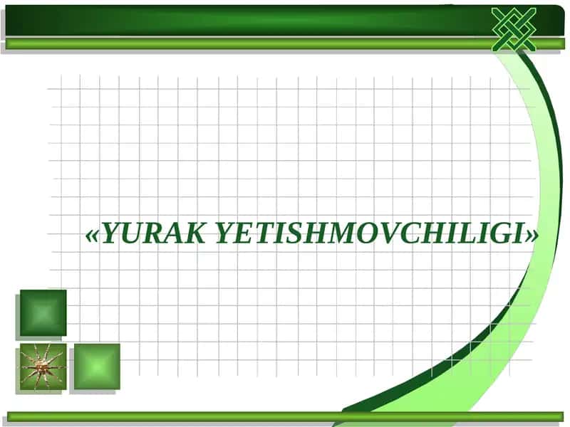 YURAKYETISHMOVCHILIGI 1