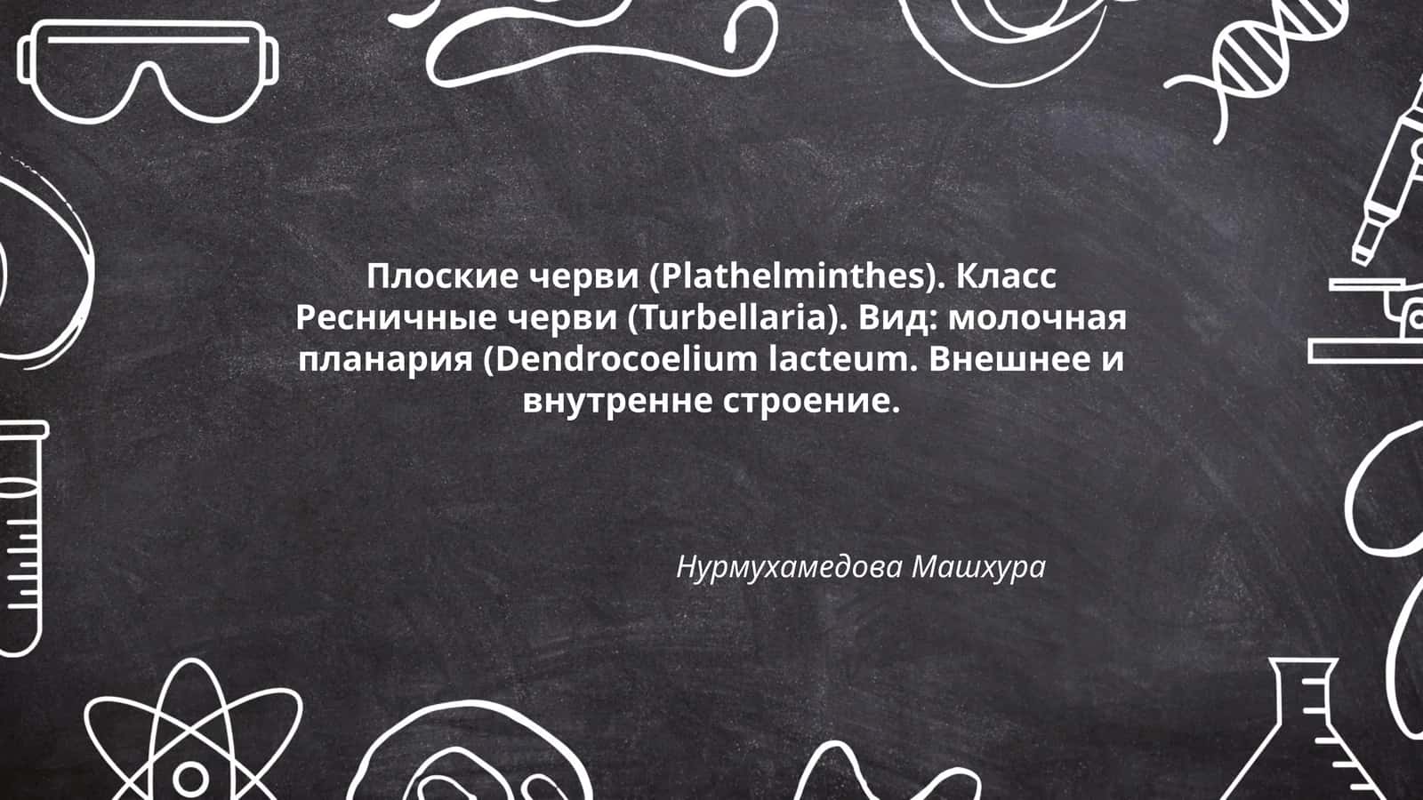 Молочная планария (Dendrocoelium lacteum) 1