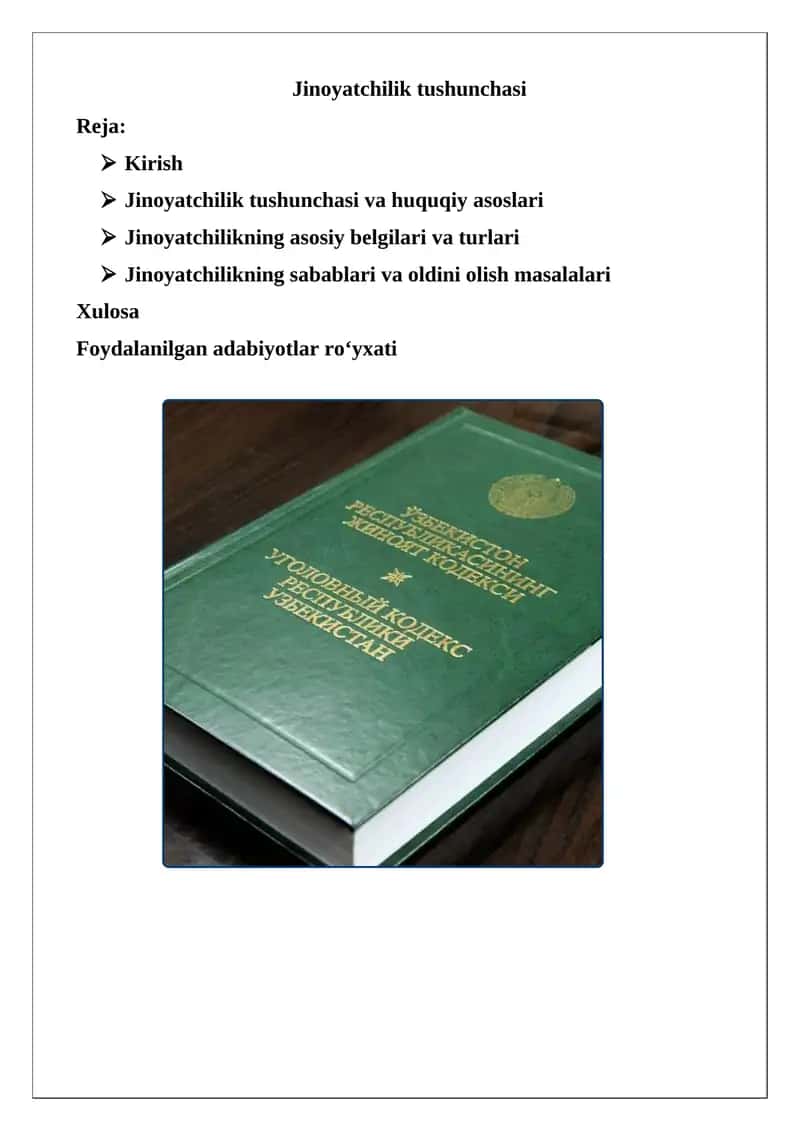 Jinoyatchilik tushunchasi 1