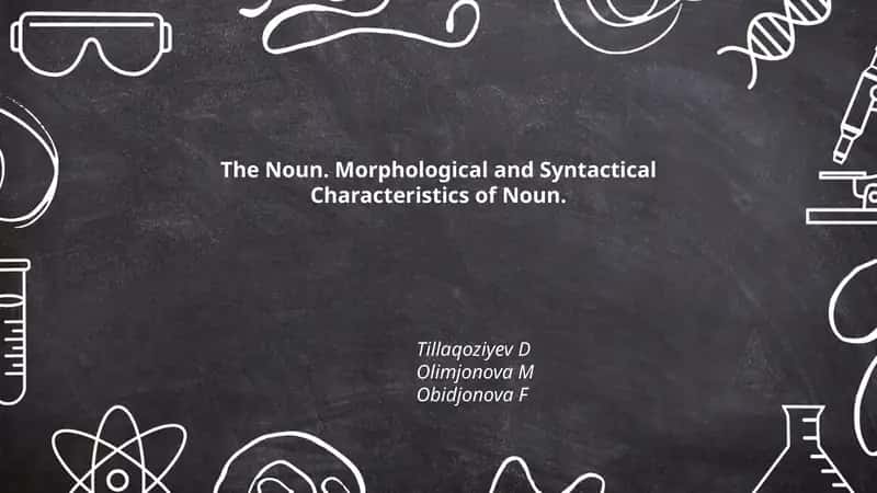 The Noun. Morphological and Syntactical Characteristics of Noun 1