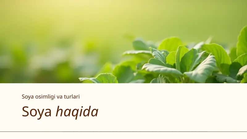 Soya osimligi va turlari 1