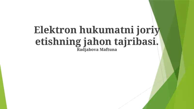 Elektron hukumatni joriy etishning jahon tajribasi 1